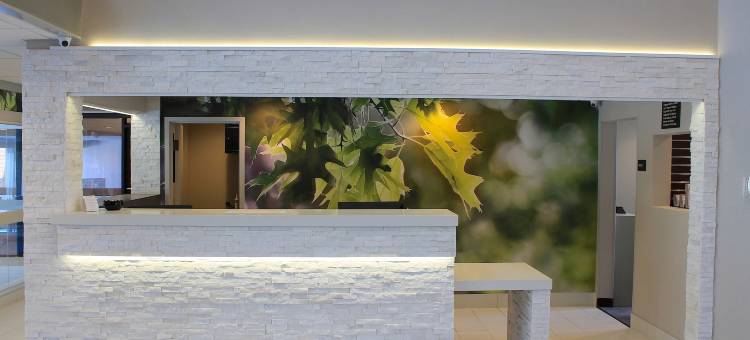 温德姆花园酒店-韦恩堡(Wyndham Garden Fort Wayne)图片