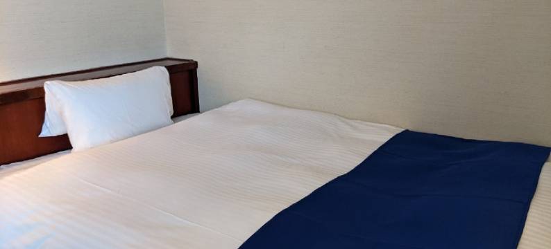 Ichinomiya City Hotel图片