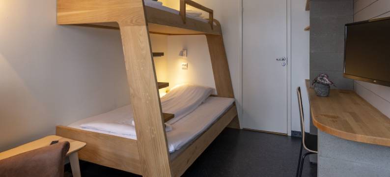 哈马尔海盗船青年旅馆及出租公寓(Vikingskipet Hotell)图片