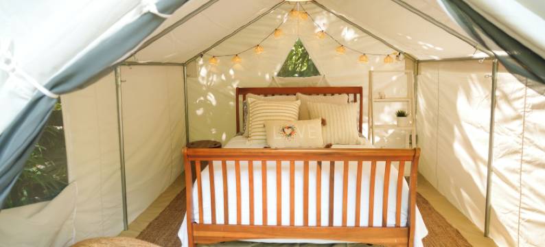 巴查之家(Casa Parcha)图片