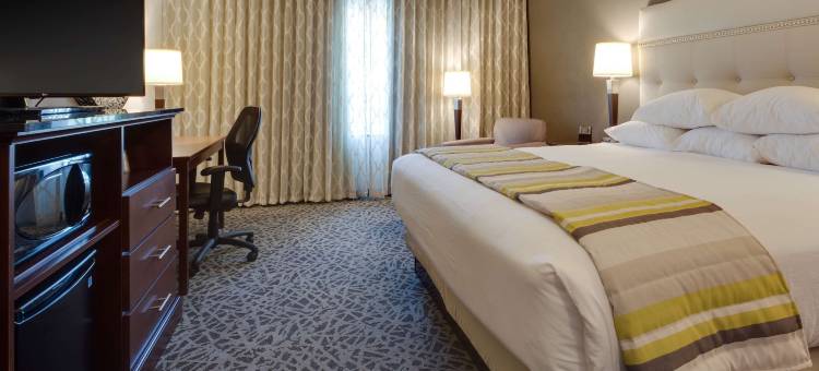 德鲁里广场酒店-开普吉拉多会议中心(Drury Plaza Hotel Cape Girardeau Conference Center)图片