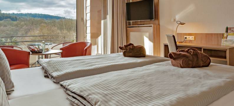 韦斯特瓦特里夫德尔帕克酒店(Hotelpark der Westerwald Treff)图片