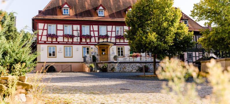 阿克泽特格德尼尔斯特恩酒店(Akzent Hotel Goldner Stern)图片