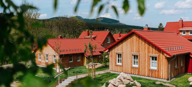 达斯施奇赫哈尔斯布罗肯度假村(Das Schierke Harzresort)图片