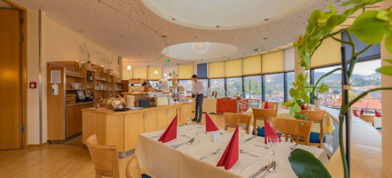 CCS 城市酒店(City Hotel Suhl)图片