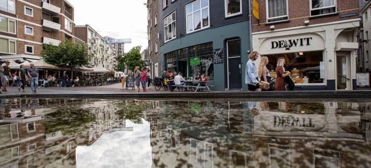 赫尔特奈梅亨市(Holt Nijmegen)图片