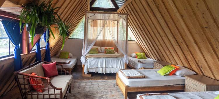 洛斯纳兰霍斯度假屋(Los Naranjos Town Houses)图片