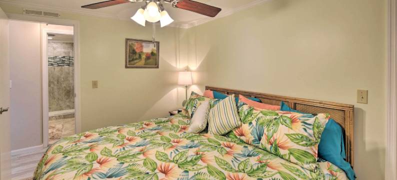 圣约翰河上的风景如画的度假村+泊位(Picturesque Retreat on St Johns River and Docks)图片