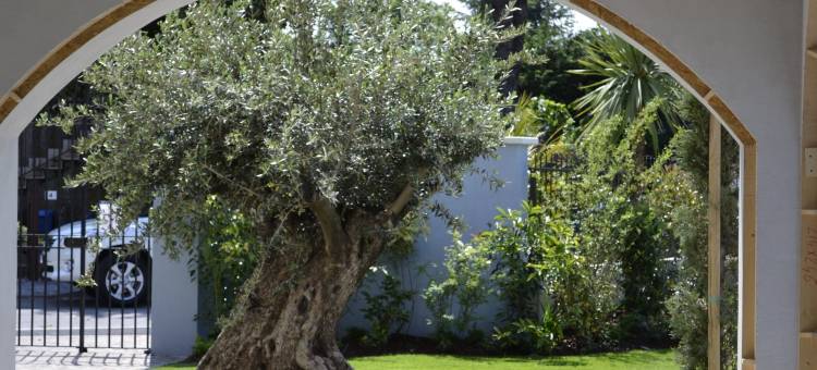 阿昌泉度假酒店(Acqua Resorts)图片