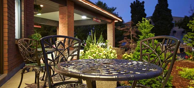 舒适酒店(Comfort Inn)图片