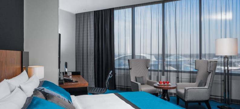 莫斯科谢列梅捷沃机场宇宙精选酒店(Cosmos Selection Moscow Sheremetyevo Airport Hotel, a Member of Radisson Individuals)图片