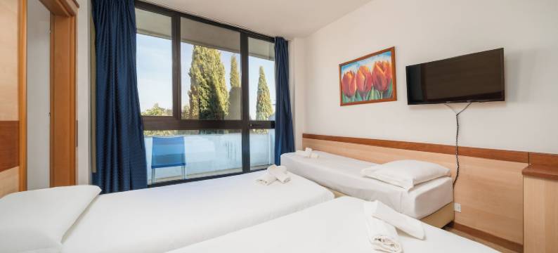 佳迪萨诺中央旅游酒店(Hotel Centro Turistico Gardesano)图片