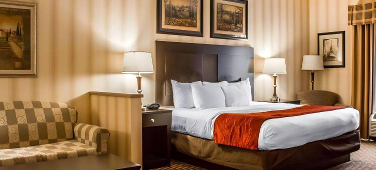 舒适套房酒店(Comfort Suites Edinboro)图片