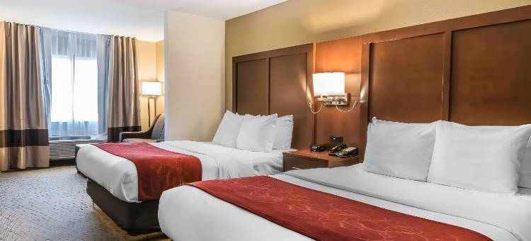 梅森舒适套房酒店-近国王岛(Comfort Suites Mason Near Kings Island)图片