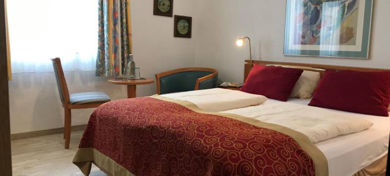 阿尔特蒙特约酒店(Hotel Alt Montjoie)图片