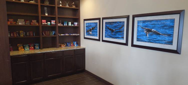 梅恩斯泰套房酒店勒克莱尔 - 四城地区(MainStay Suites LeClaire - Quad Cities)图片