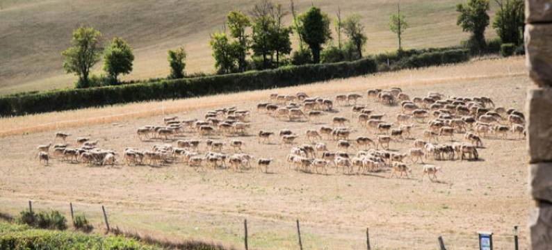 Gîte de France Nature图片