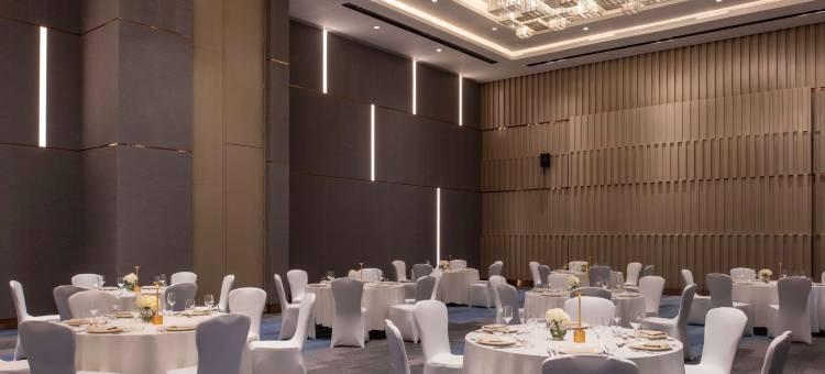 利雅得沙哈法诺富特酒店(Novotel Riyadh Sahafa)图片