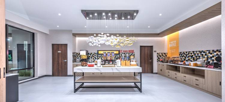 Hampton Inn & Suites by Hilton Irving Hwy 183图片