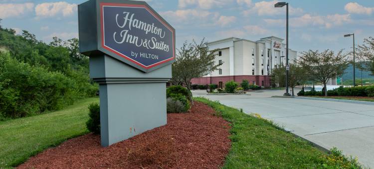 怀尔德欢朋套房酒店(Hampton Inn & Suites Wilder)图片