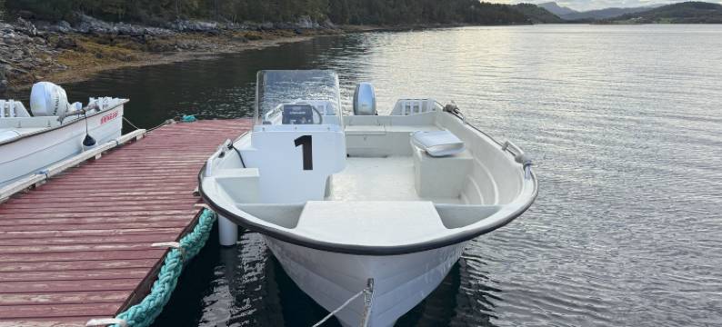 Spacious house, with boat, in beautiful landscape图片