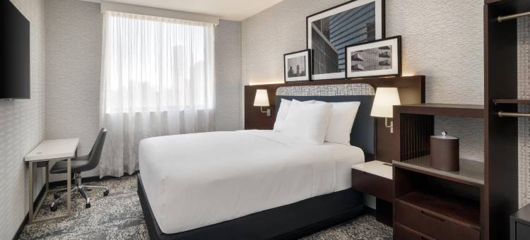 纽约长岛市希尔顿逸林酒店(DoubleTree by Hilton Long Island City New York)图片