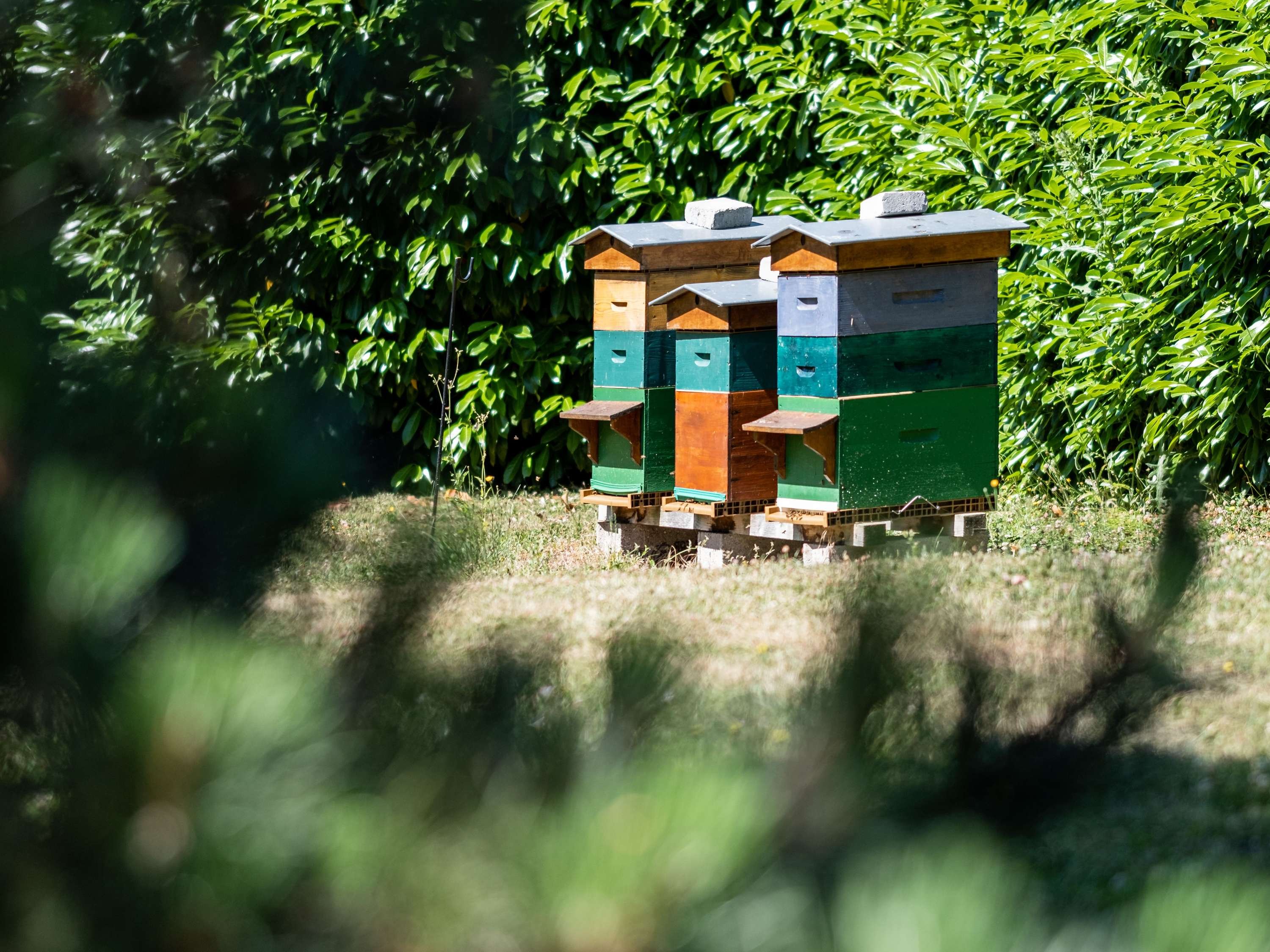 Hôtel Mercure Compiègne Sud Over view