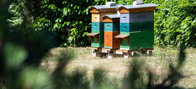 美居贡比涅南酒店(Hôtel Mercure Compiègne Sud)图片