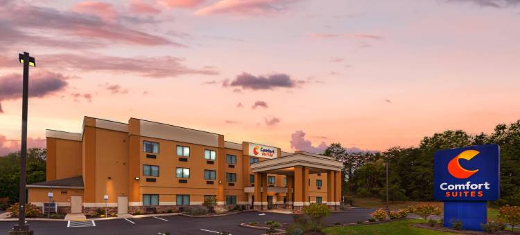 路易斯堡舒适套房酒店(Comfort Suites Lewisburg)图片