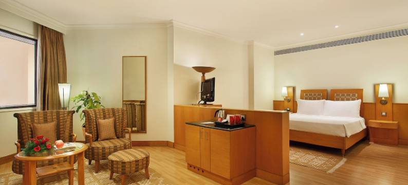 金奈三叉戟酒店(Trident, Chennai)图片