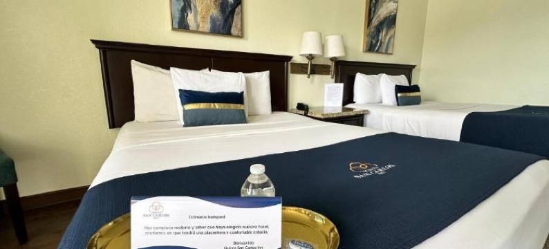 昆塔圣卡罗斯旅馆(Hotel Quinta San Carlos Inn)图片