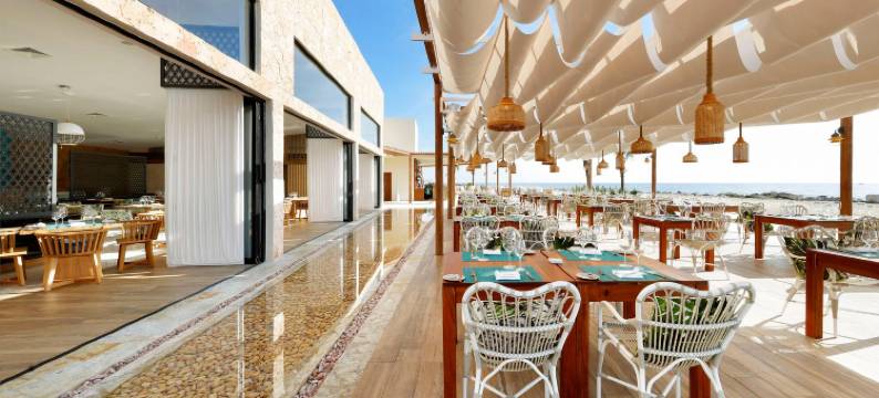 TRS尤卡坦酒店-限成人入住-全包(TRS Yucatan Hotel - Adults Only)图片