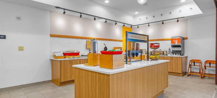 纽布朗费尔斯欢朋套房酒店(Hampton Inn & Suites New Braunfels)图片