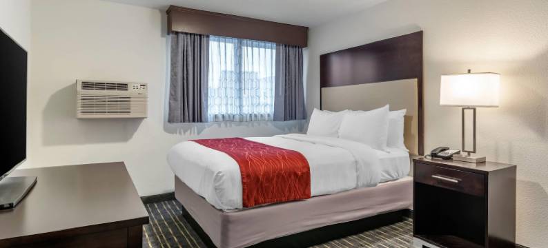 蒂加德-近华盛顿广场舒适套房酒店(Comfort Inn & Suites Tigard Near Washington Square)图片