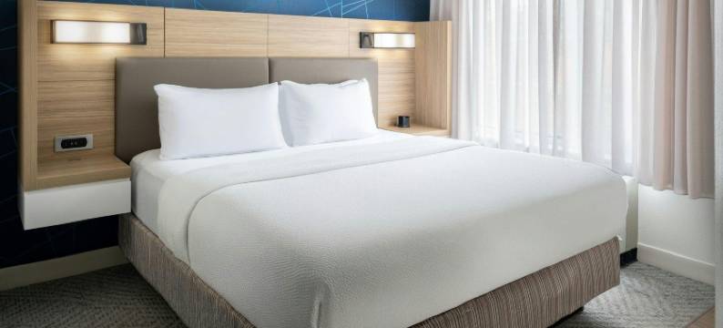 州立学院万豪SpringHill酒店(SpringHill Suites State College)图片