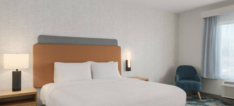 希尔顿里士满切斯特欢朋酒店(Hampton Inn by Hilton Richmond Chester)图片