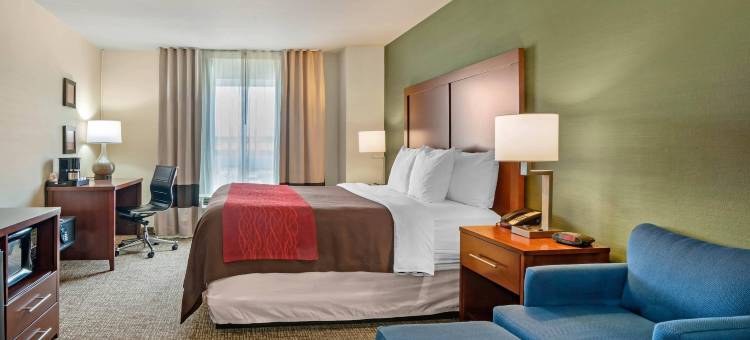 舒适套房酒店(Comfort Inn & Suites Salem)图片
