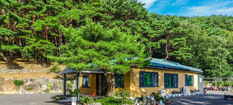 Boryeong Sorigol Minbak Pension图片