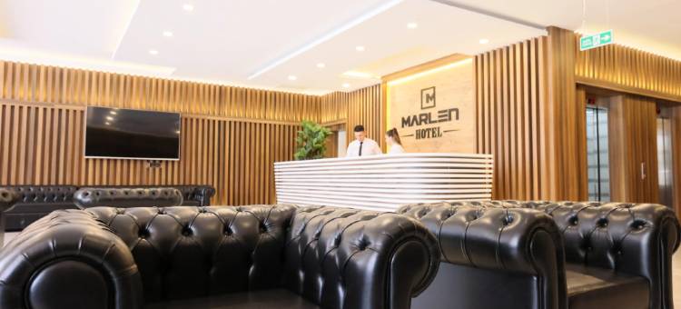 马伦酒店·登尼兹利(Marlen Hotel Denizli)图片