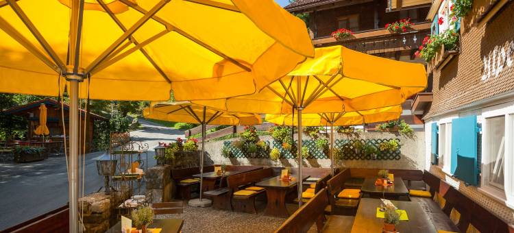 大雨酒店(Hotel Bad Rain Mit Oberstaufen PlusGolf)图片