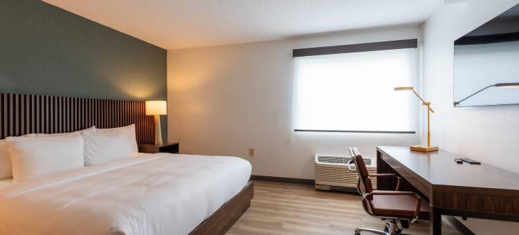 舒适酒店 - 戴达姆-波士顿大都会西区(Comfort Inn - Dedham-Boston MetroWest)图片