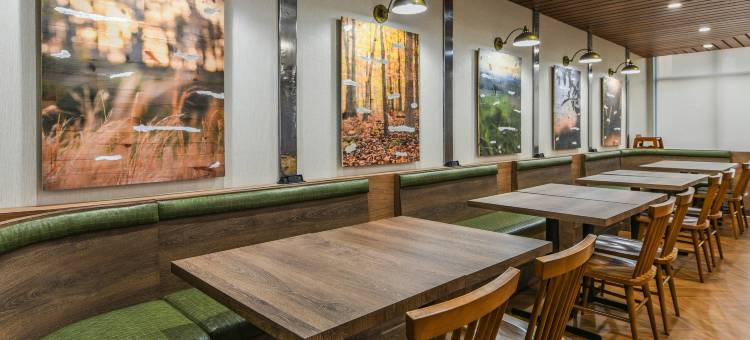 安大略库卡蒙格牧场万枫酒店及套房(Fairfield Inn & Suites Ontario Rancho Cucamonga)图片