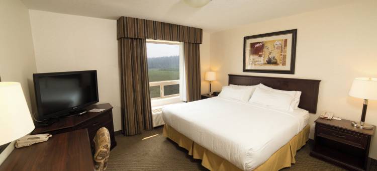 智选假日套房酒店怀特考东南 by IHG(Holiday Inn Express & Suites Whitecourt Southeast by IHG)图片