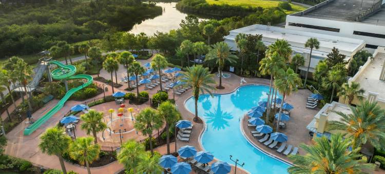 奥兰多拉斯帕梅拉斯希尔顿分时度假俱乐部酒店(Hilton Grand Vacations Club Las Palmeras Orlando)图片