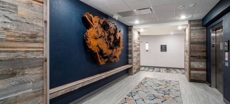 格里尔格林维尔欢朋酒店(Hampton Inn by Hilton Greer Greenville)图片