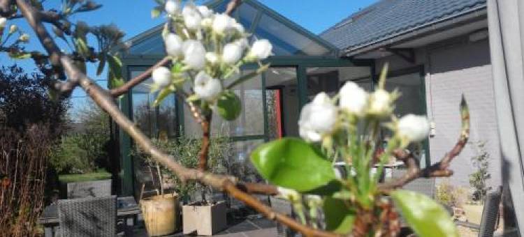 普拉姆帕帕维尔酒店(Pluimpapaver Hotel & Glamping)图片