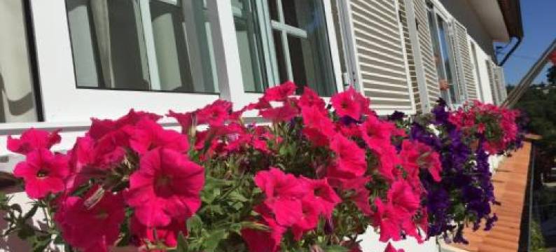 苍穹公寓酒店(Residencial Celeste)图片