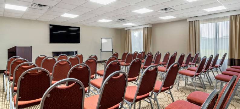 伍德斯托克舒适套房酒店- 亚特兰大北(Comfort Suites Woodstock - Atlanta North)图片