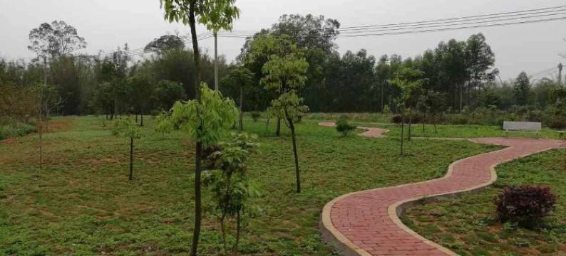 清远枫林小舍图片