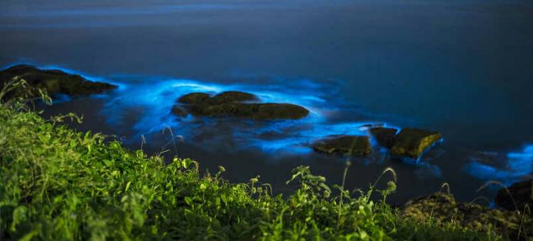 嵊泗雾岛情民宿图片